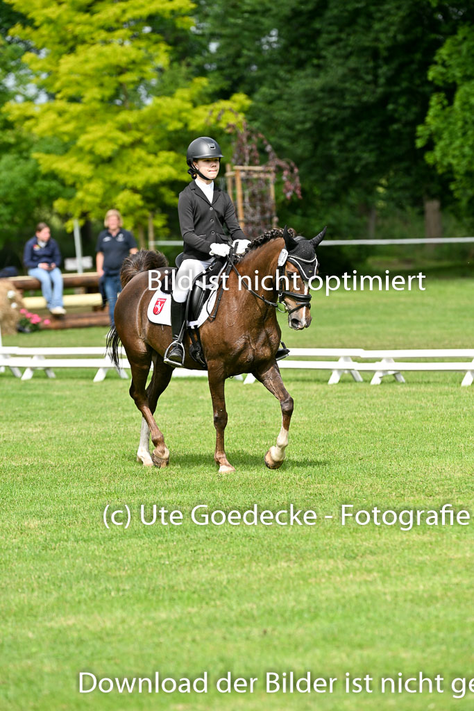  | 30052025 Dressur  (813) 