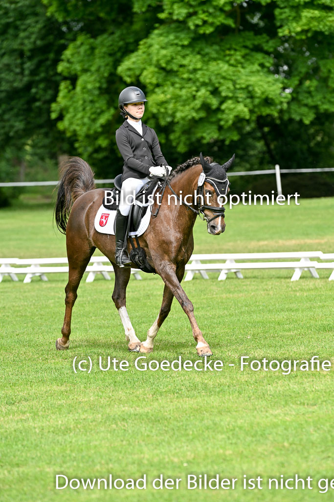  | 30052025 Dressur  (814) 