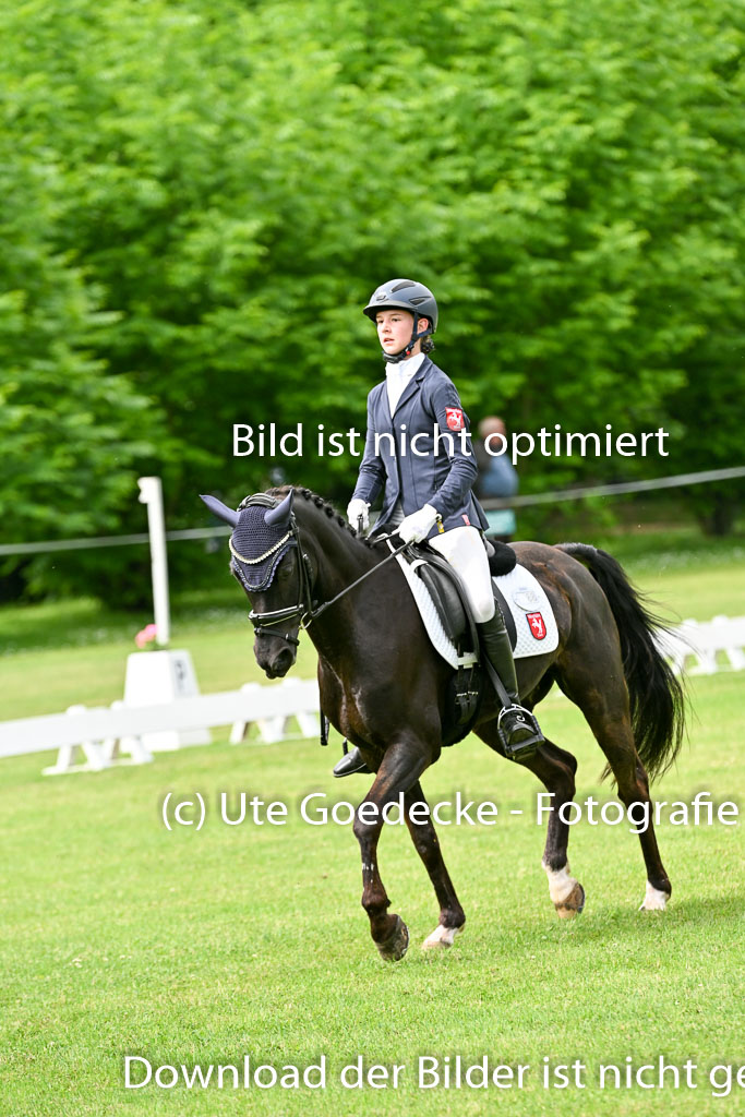  | 30052025 Dressur  (817) 