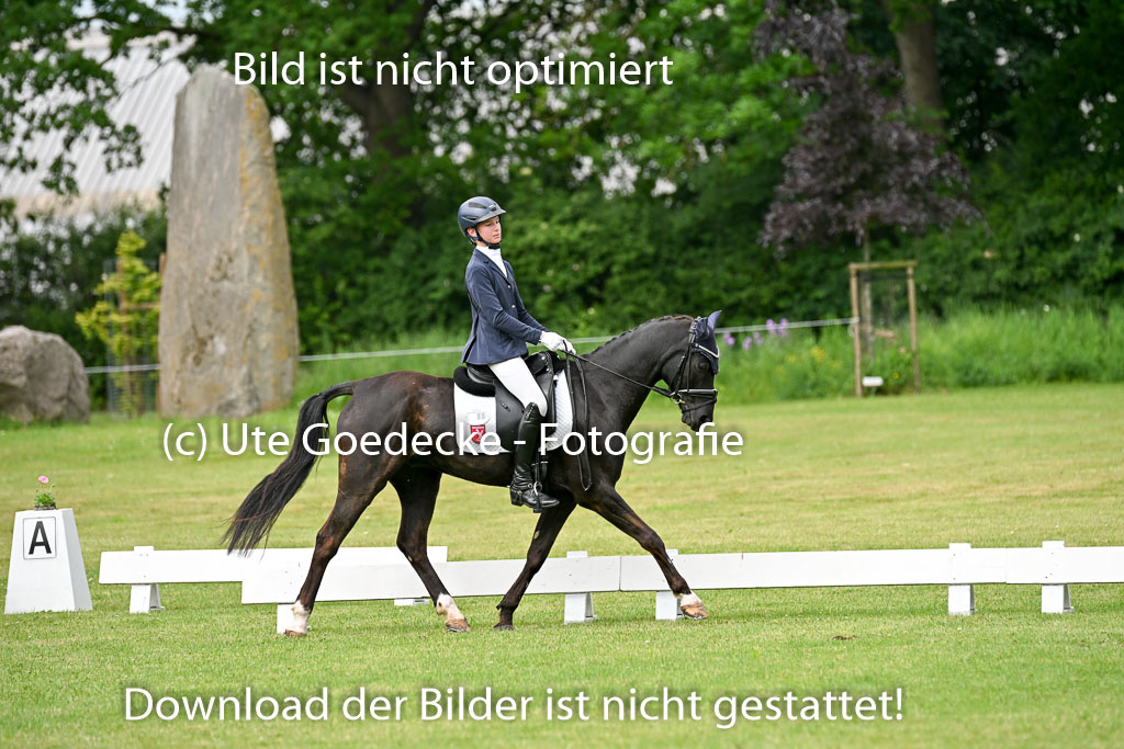  | 30052025 Dressur  (819) 