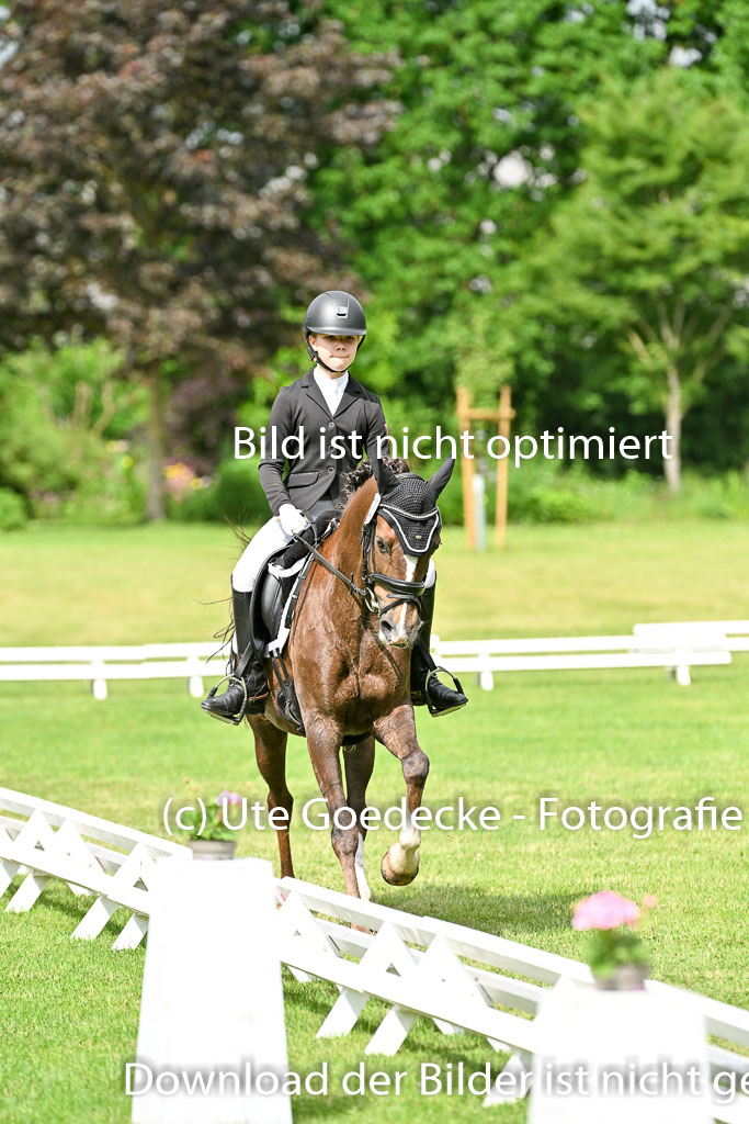  | 30052025 Dressur  (837) 