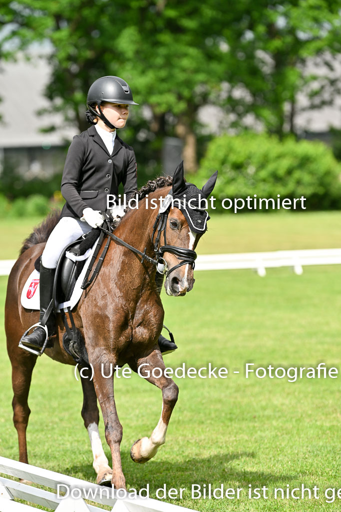  | 30052025 Dressur  (838) 