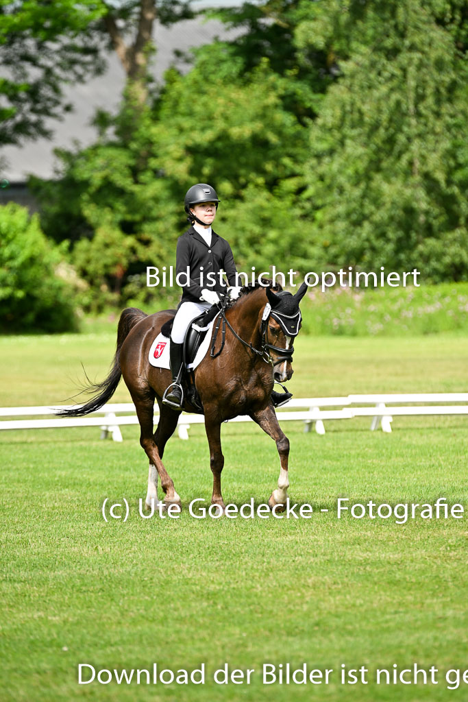  | 30052025 Dressur  (839) 