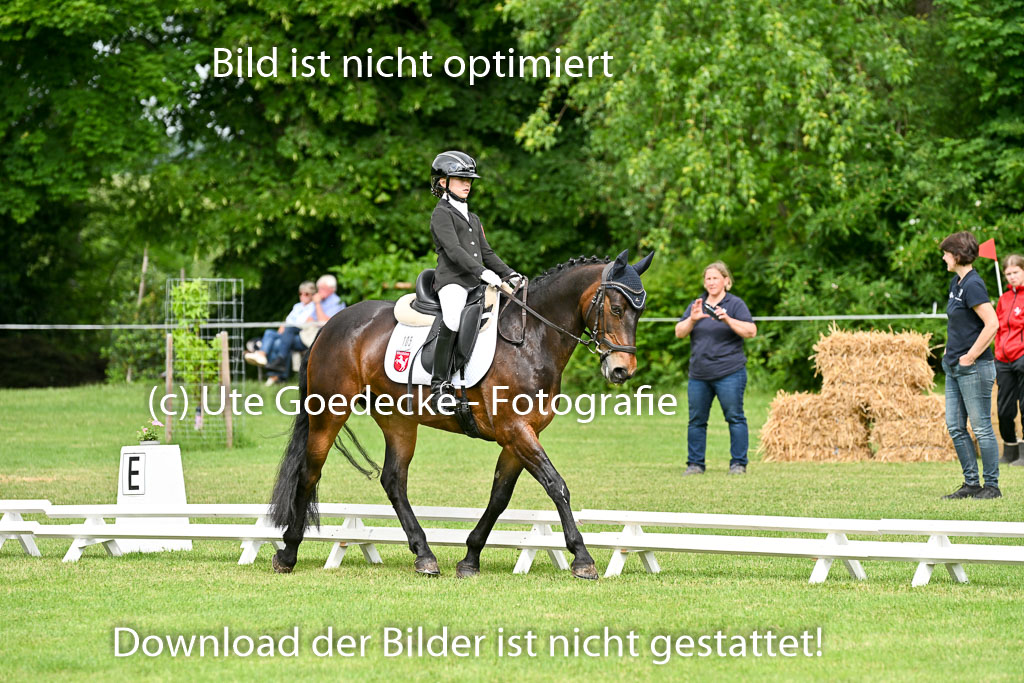  | 30052025 Dressur  (846) 