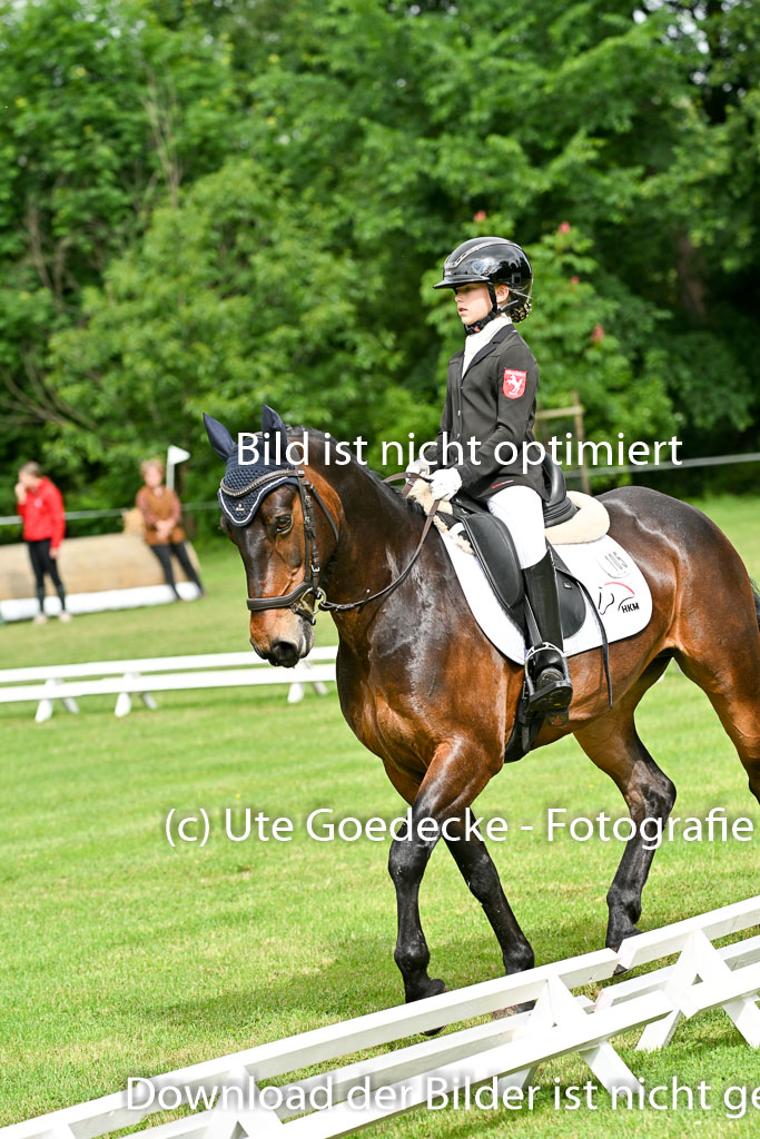  | 30052025 Dressur  (848) 