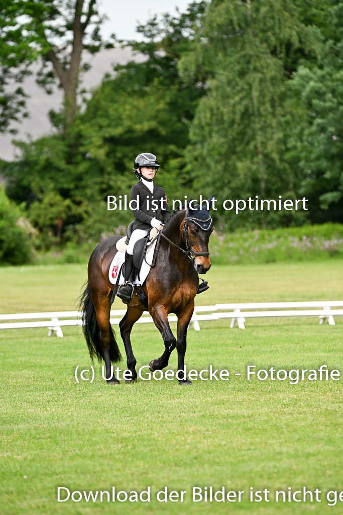 | 30052025 Dressur  (849) 
