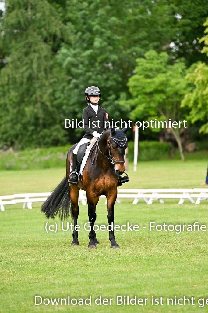  | 30052025 Dressur  (851) 