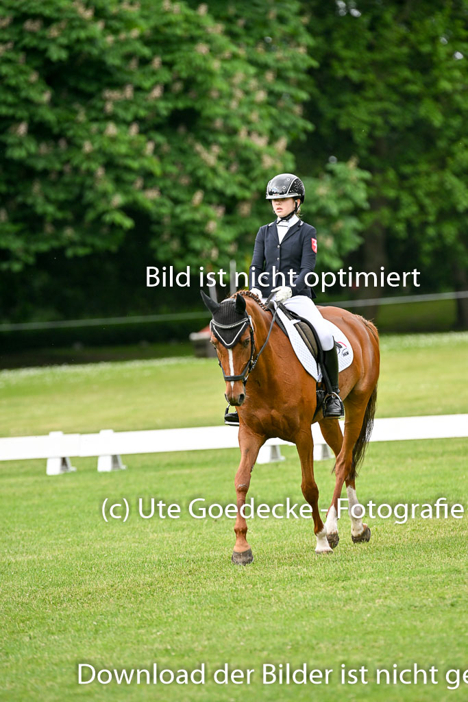  | 30052025 Dressur  (855) 