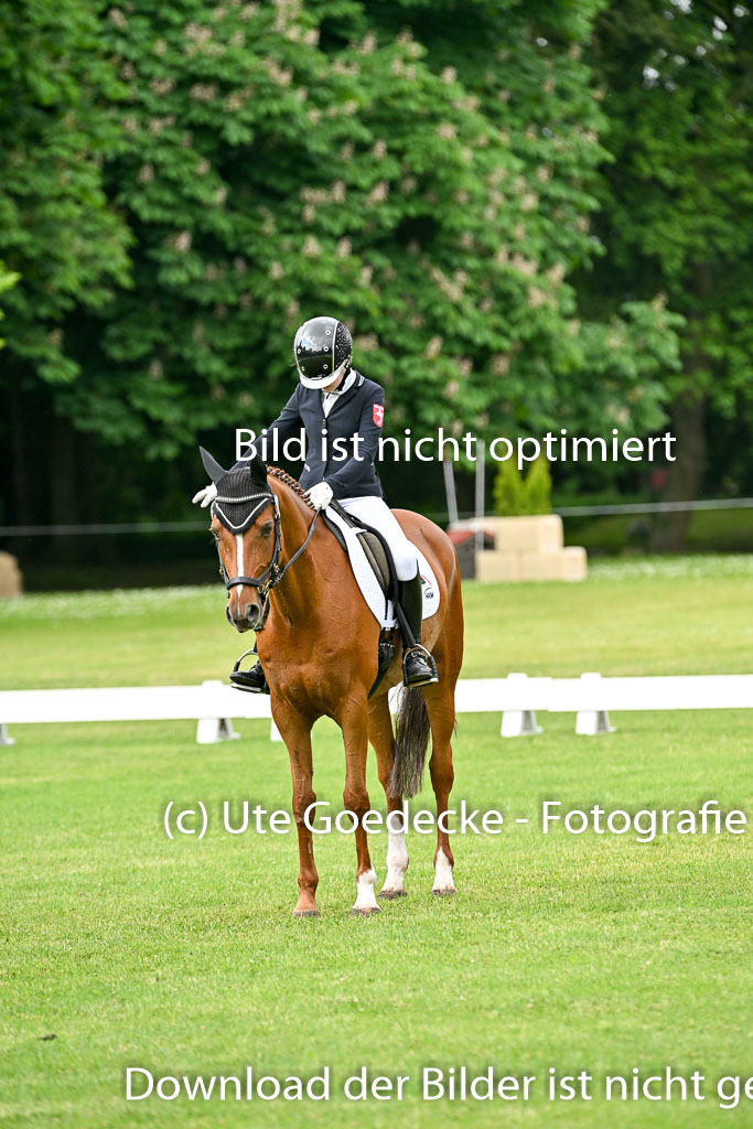 | 30052025 Dressur  (856) 