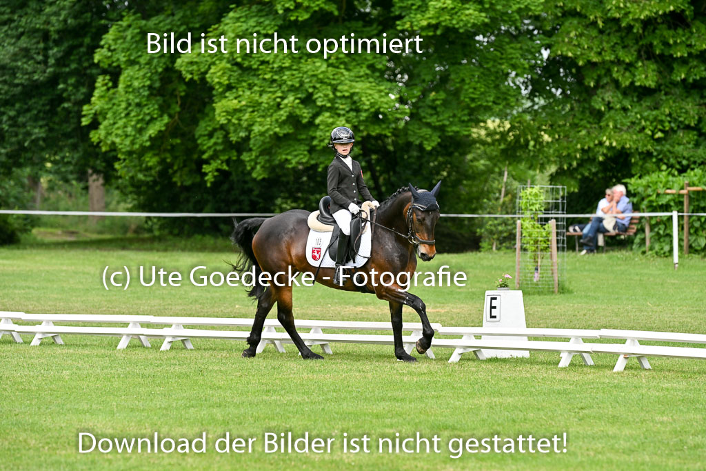  | 30052025 Dressur  (868) 