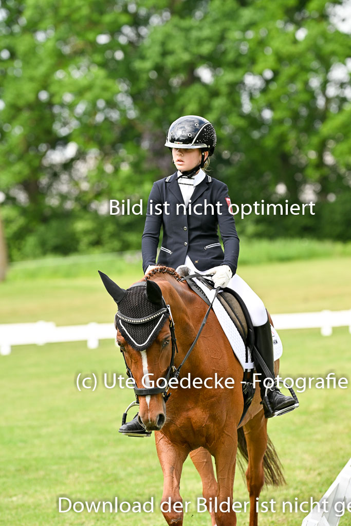  | 30052025 Dressur  (870) 