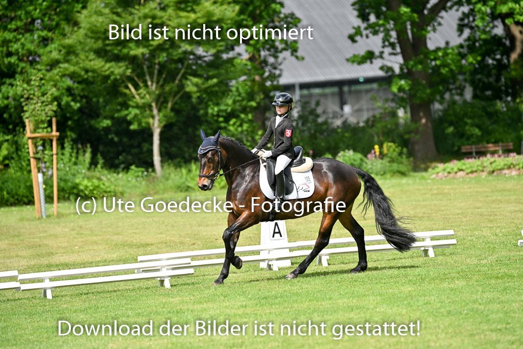  | 30052025 Dressur  (882) 
