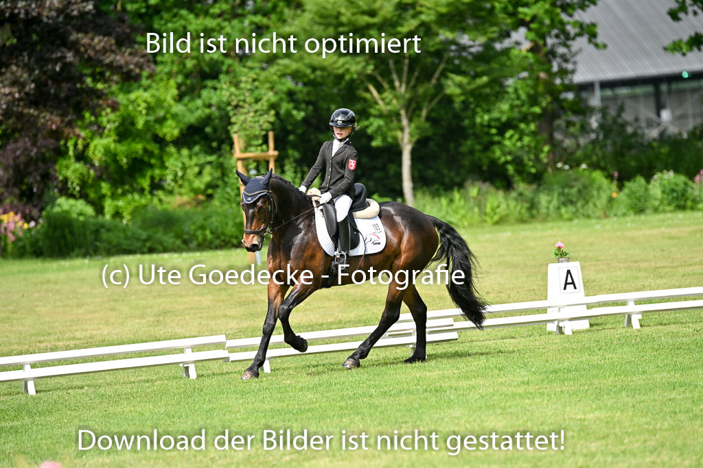 | 30052025 Dressur  (883) 