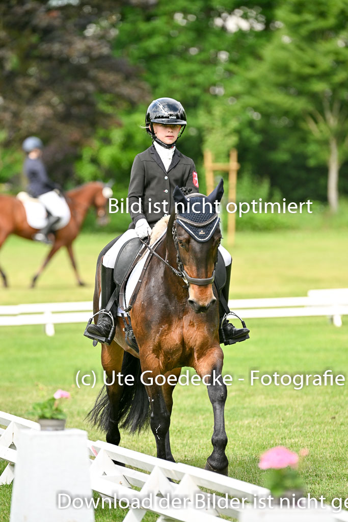 | 30052025 Dressur  (888) 