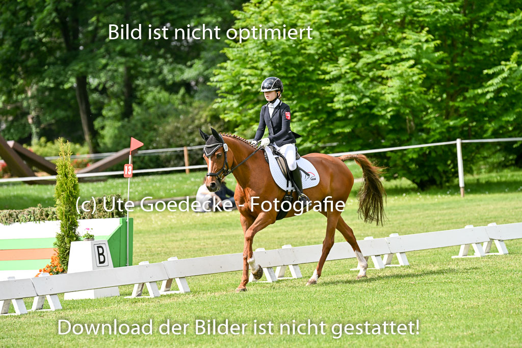  | 30052025 Dressur  (891) 