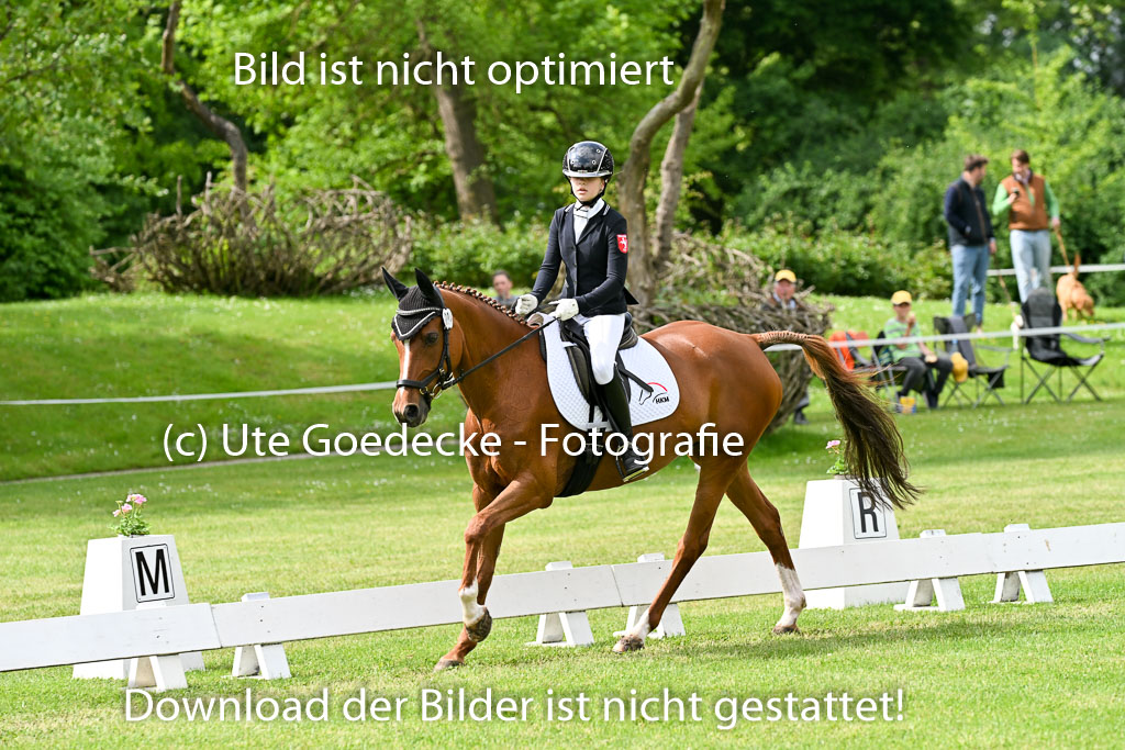  | 30052025 Dressur  (892) 