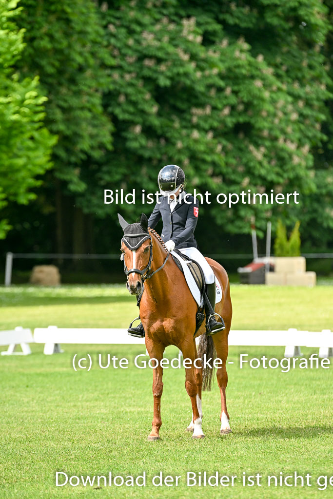  | 30052025 Dressur  (900) 