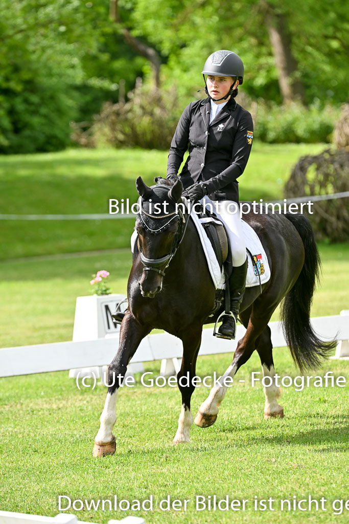  | 30052025 Dressur  (903) 