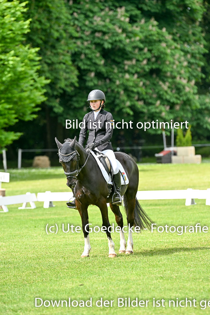  | 30052025 Dressur  (907) 