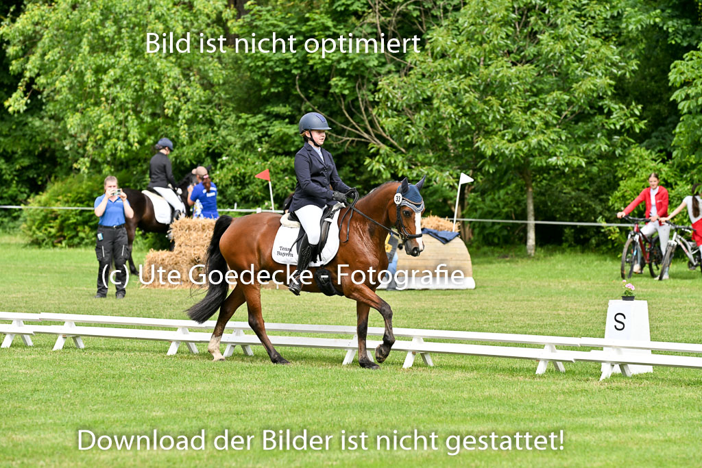  | 30052025 Dressur  (917) 