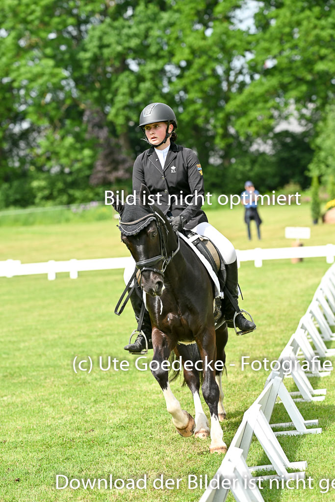  | 30052025 Dressur  (919) 