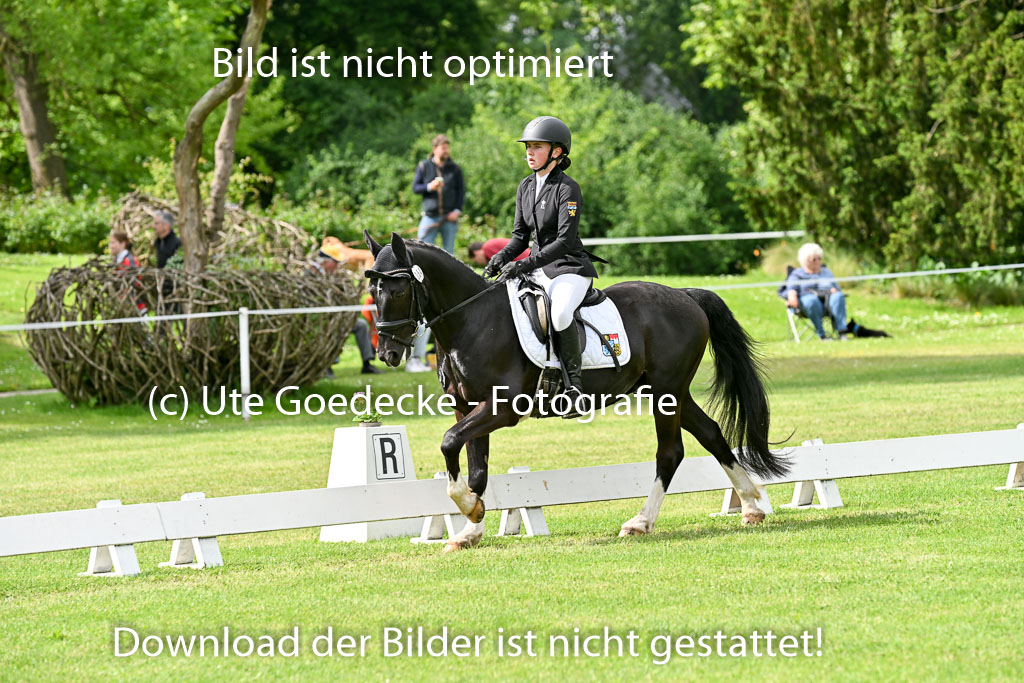  | 30052025 Dressur  (928) 