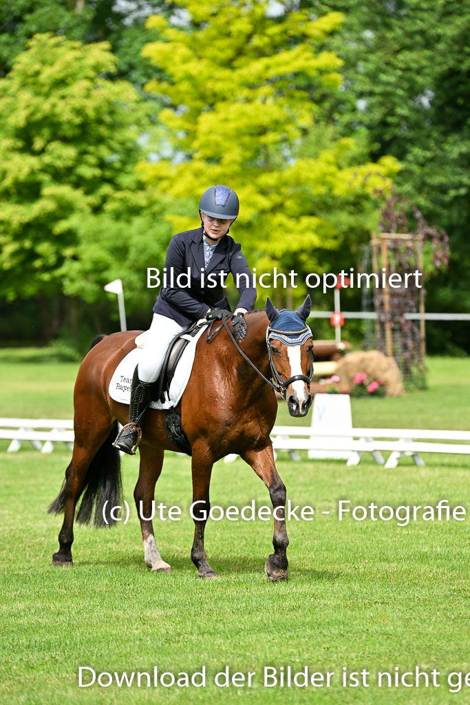  | 30052025 Dressur  (931) 