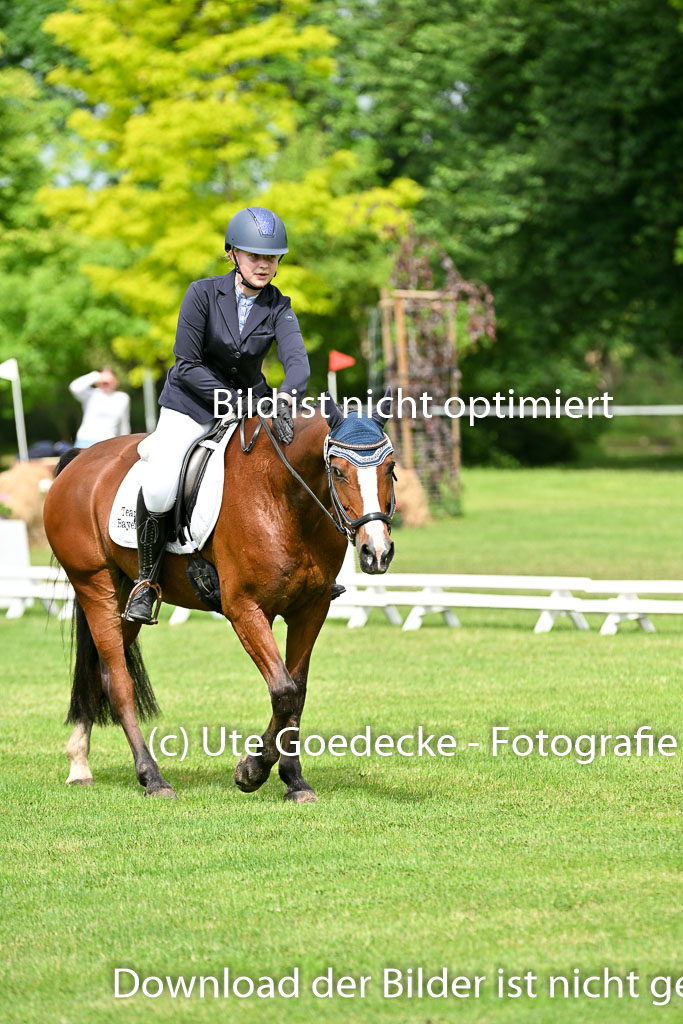  | 30052025 Dressur  (932) 