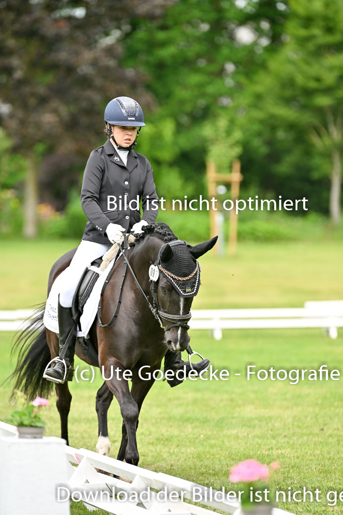  | 30052025 Dressur  (936) 