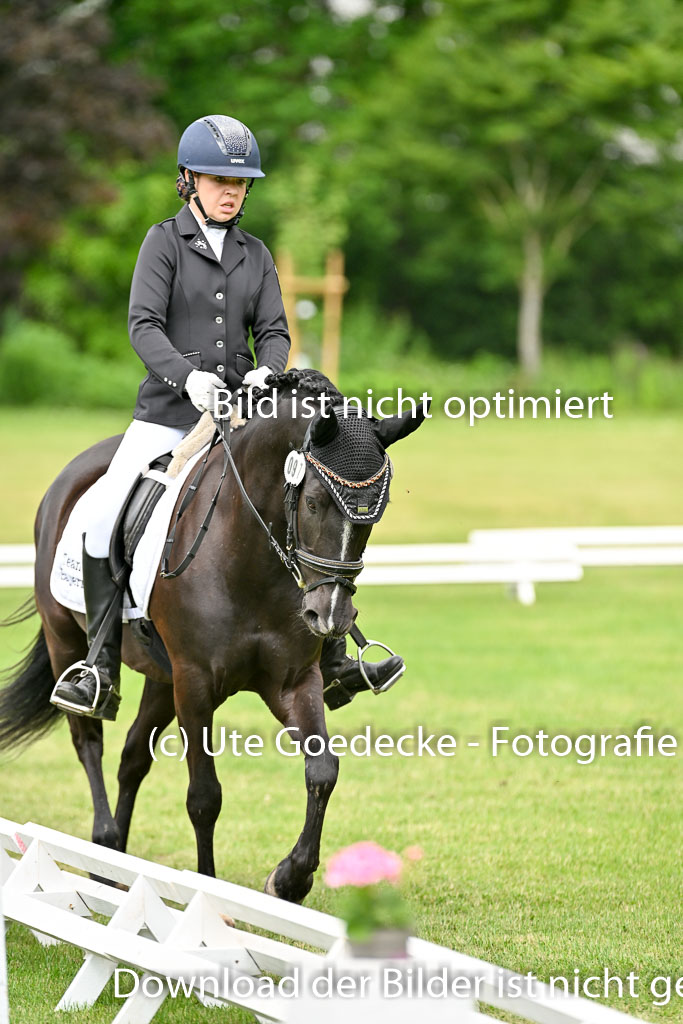  | 30052025 Dressur  (937) 