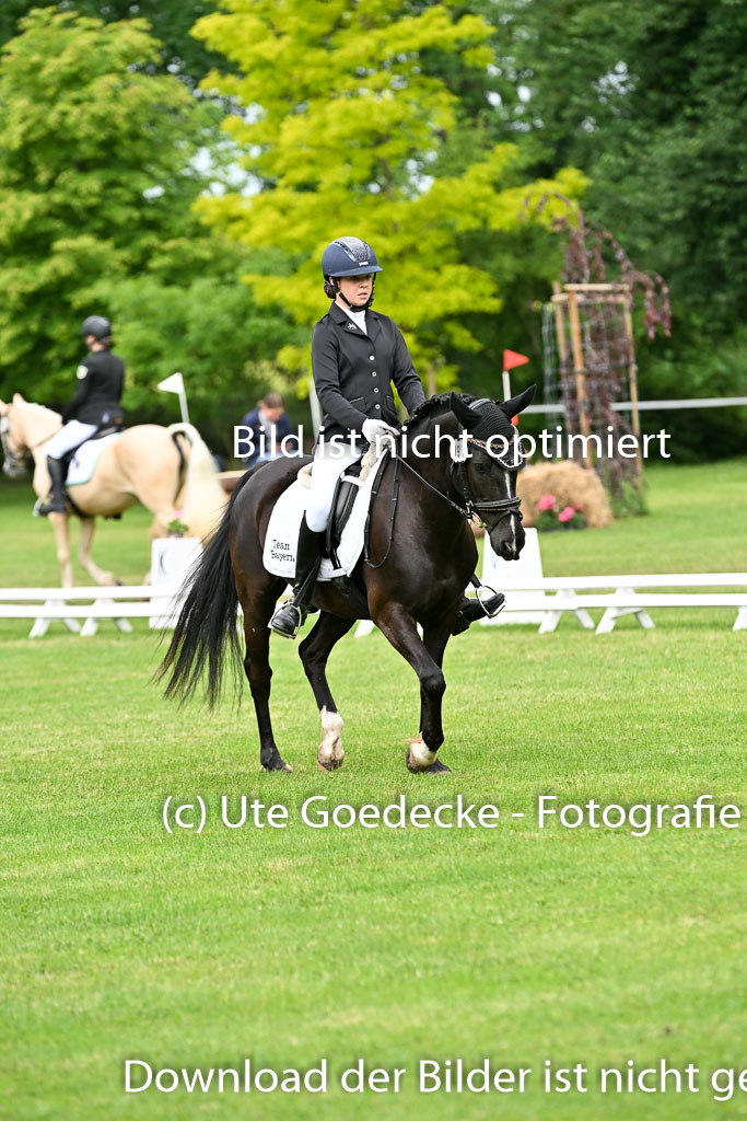  | 30052025 Dressur  (941) 