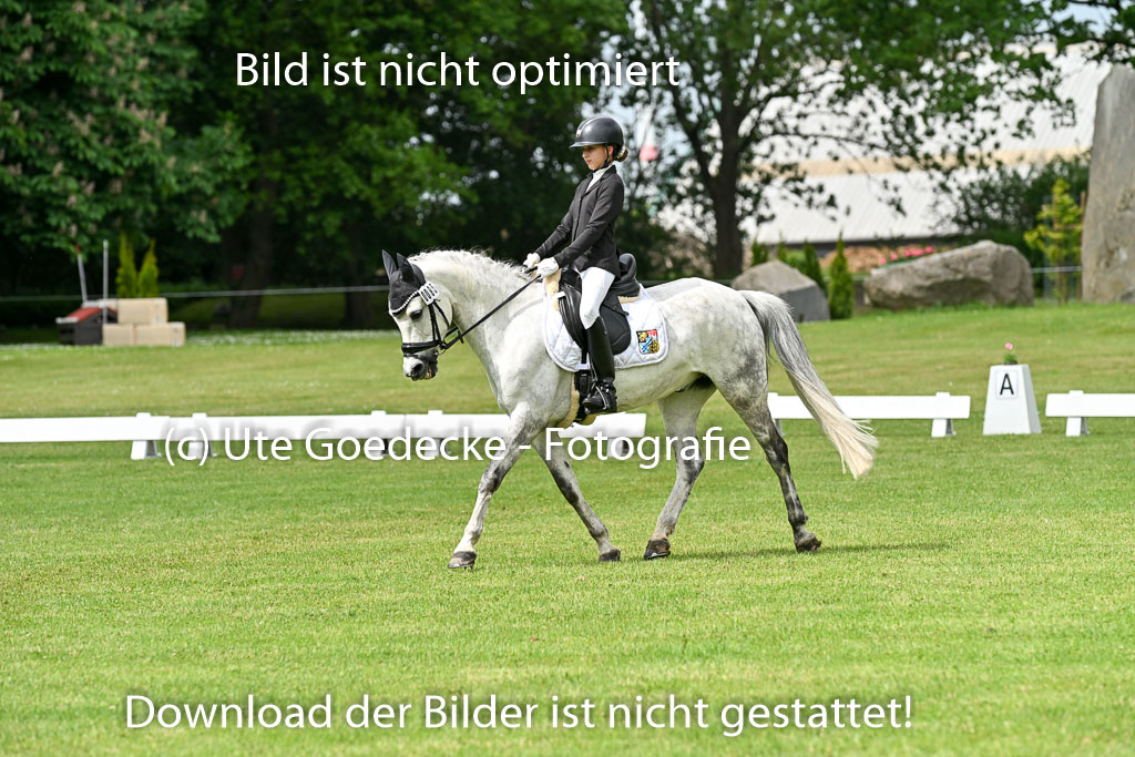  | 30052025 Dressur  (948) 