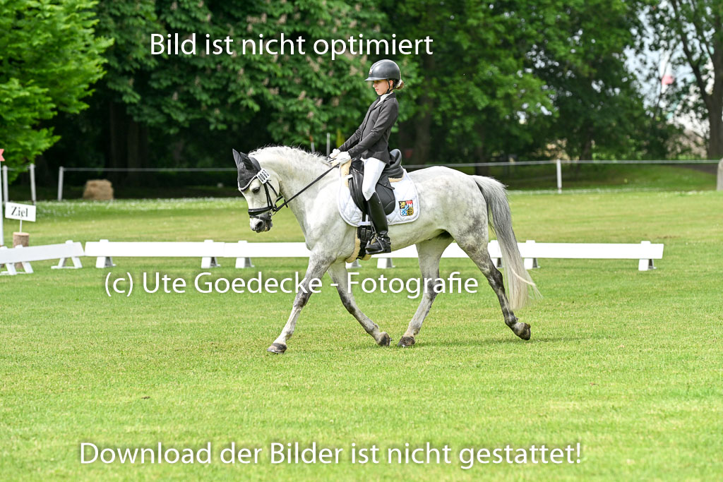  | 30052025 Dressur  (949) 