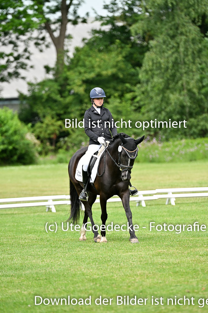  | 30052025 Dressur  (966) 