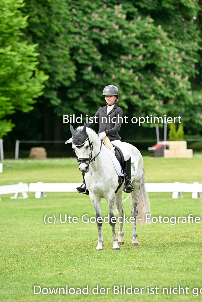 | 30052025 Dressur  (967) 