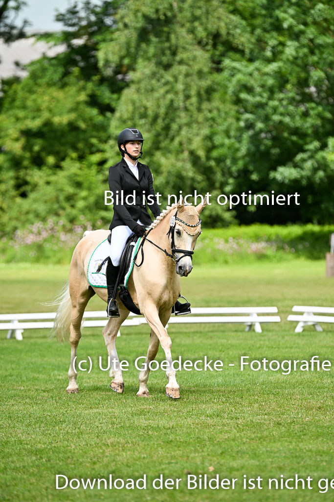 | 30052025 Dressur  (970) 