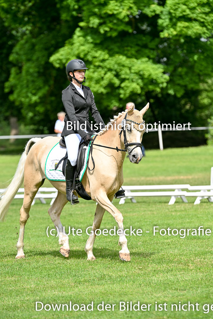  | 30052025 Dressur  (971) 