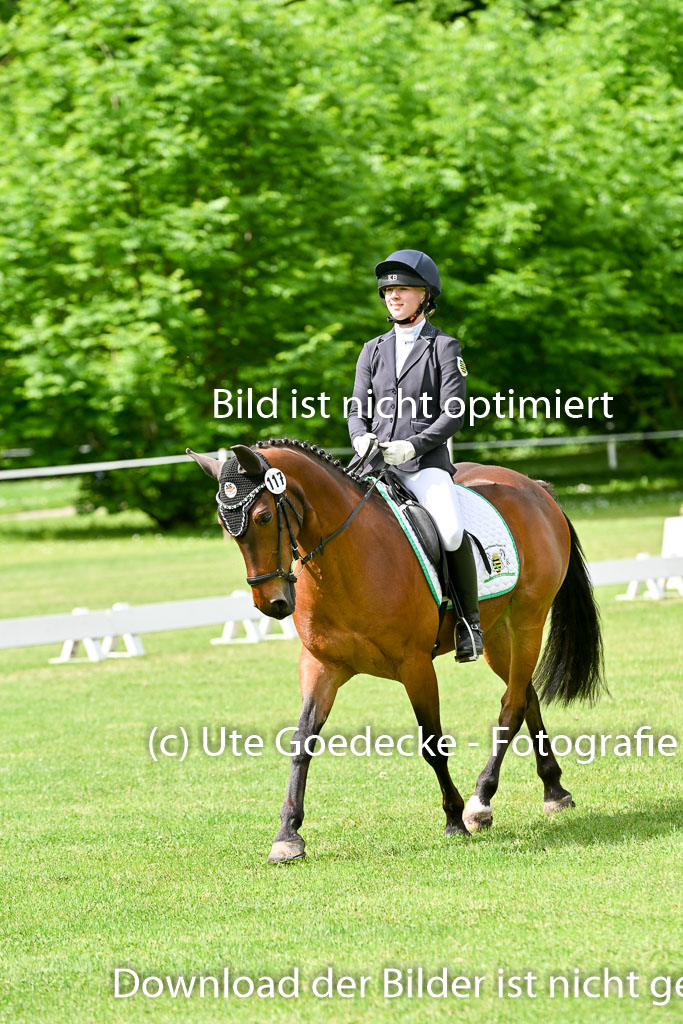  | 30052025 Dressur  (972) 