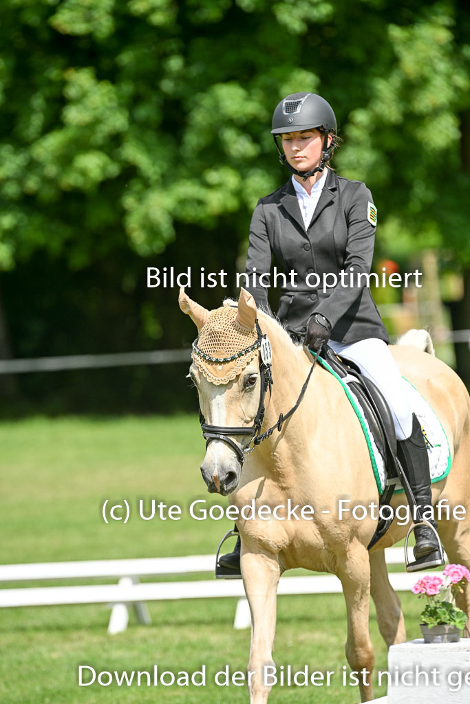  | 30052025 Dressur  (979) 
