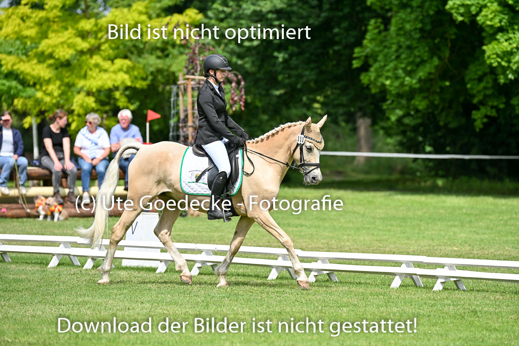  | 30052025 Dressur  (982) 