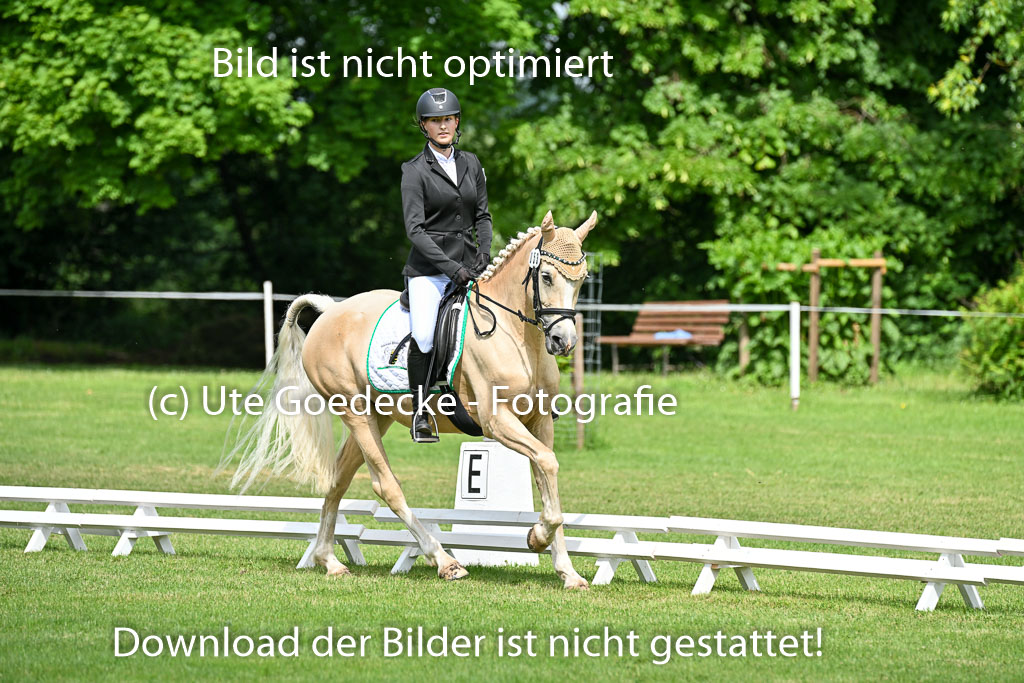  | 30052025 Dressur  (983) 
