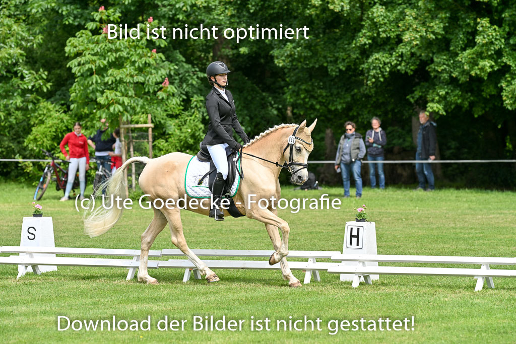  | 30052025 Dressur  (989) 