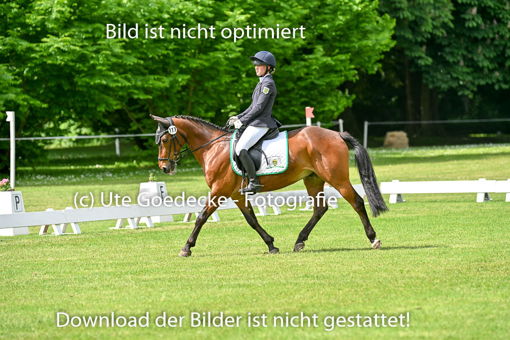  | 30052025 Dressur  (993) 