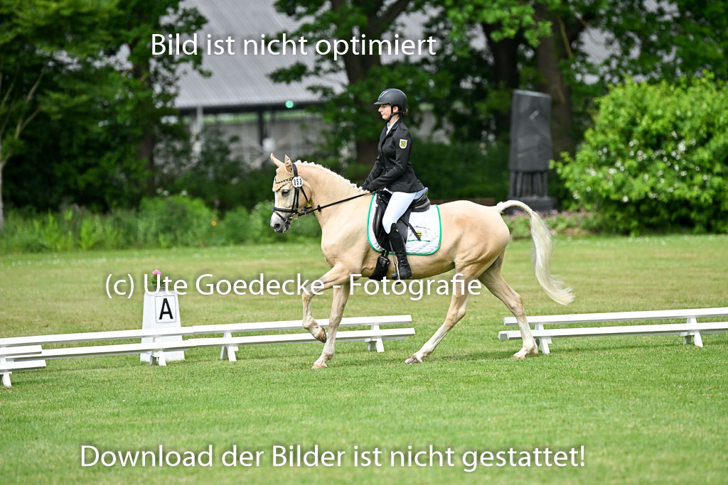  | 30052025 Dressur  (994) 