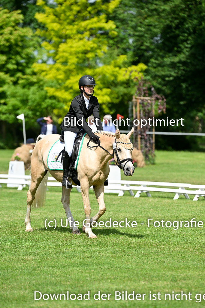  | 30052025 Dressur  (998) 