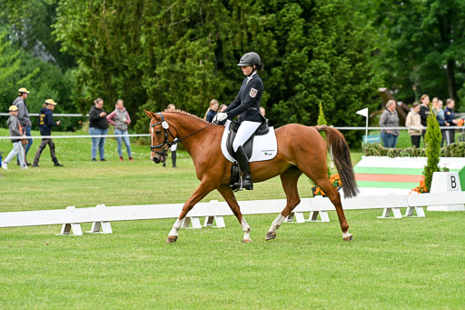  | 30052025 Dressur  (503) 