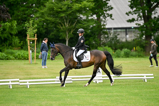  | 30052025 Dressur  (509) 