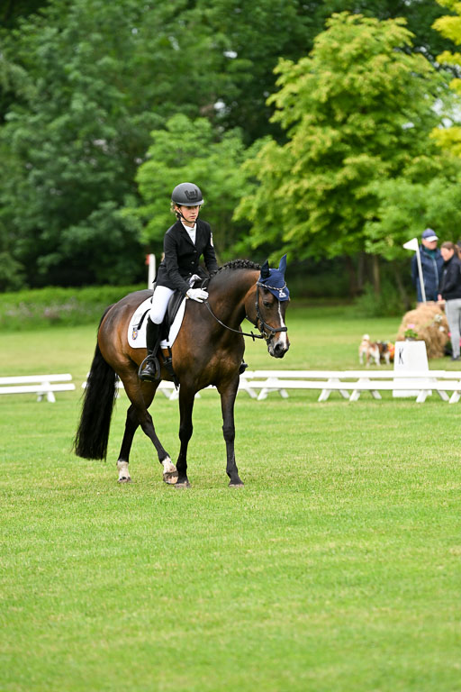  | 30052025 Dressur  (512) 