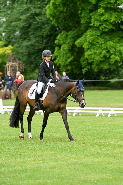  | 30052025 Dressur  (514) 