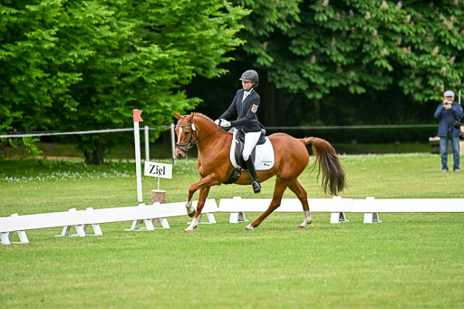  | 30052025 Dressur  (516) 
